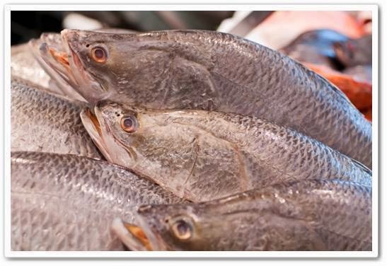 Larner's Oyster Supplies photo 8