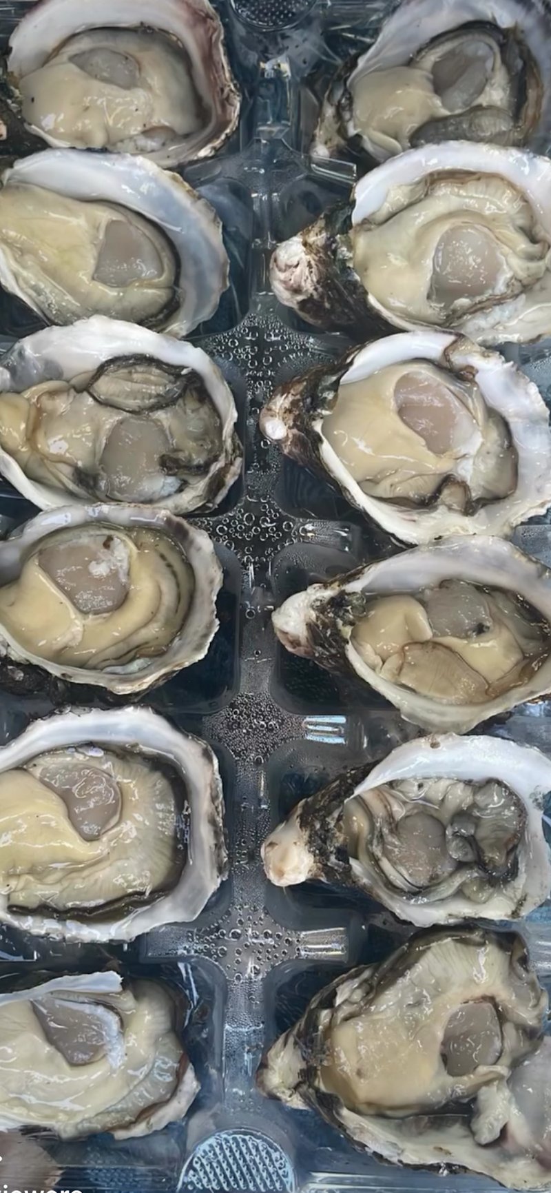 Seafood on Bailey photo 7