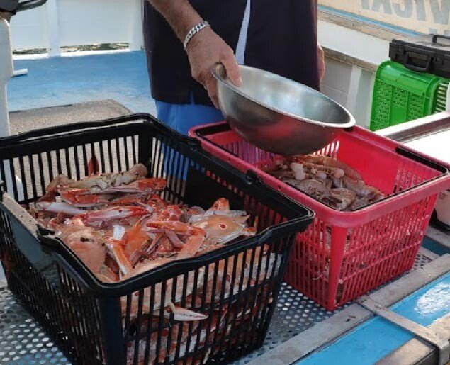 Gold Coast Fishermens Co-Operative Limited photo 2