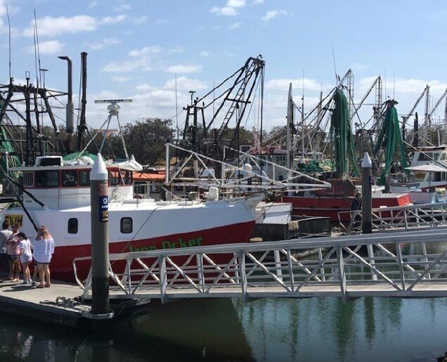 Gold Coast Fishermens Co-Operative Limited photo 5