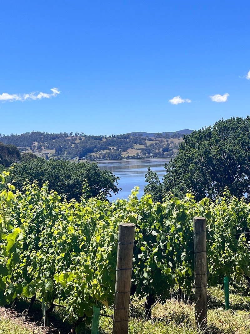 The Ducks Bar and Restaurant photo 5