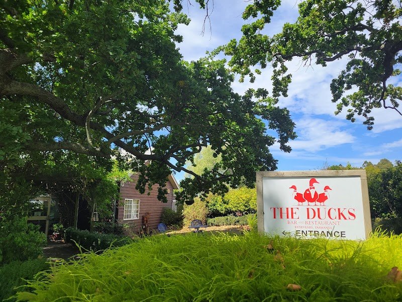 The Ducks Bar and Restaurant photo 7