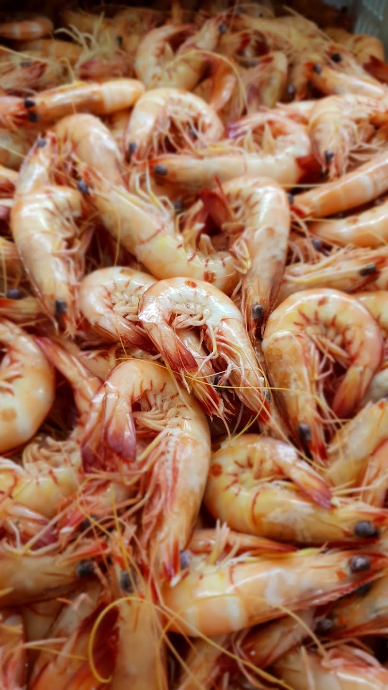 Cairns Little Seafood Market photo 4