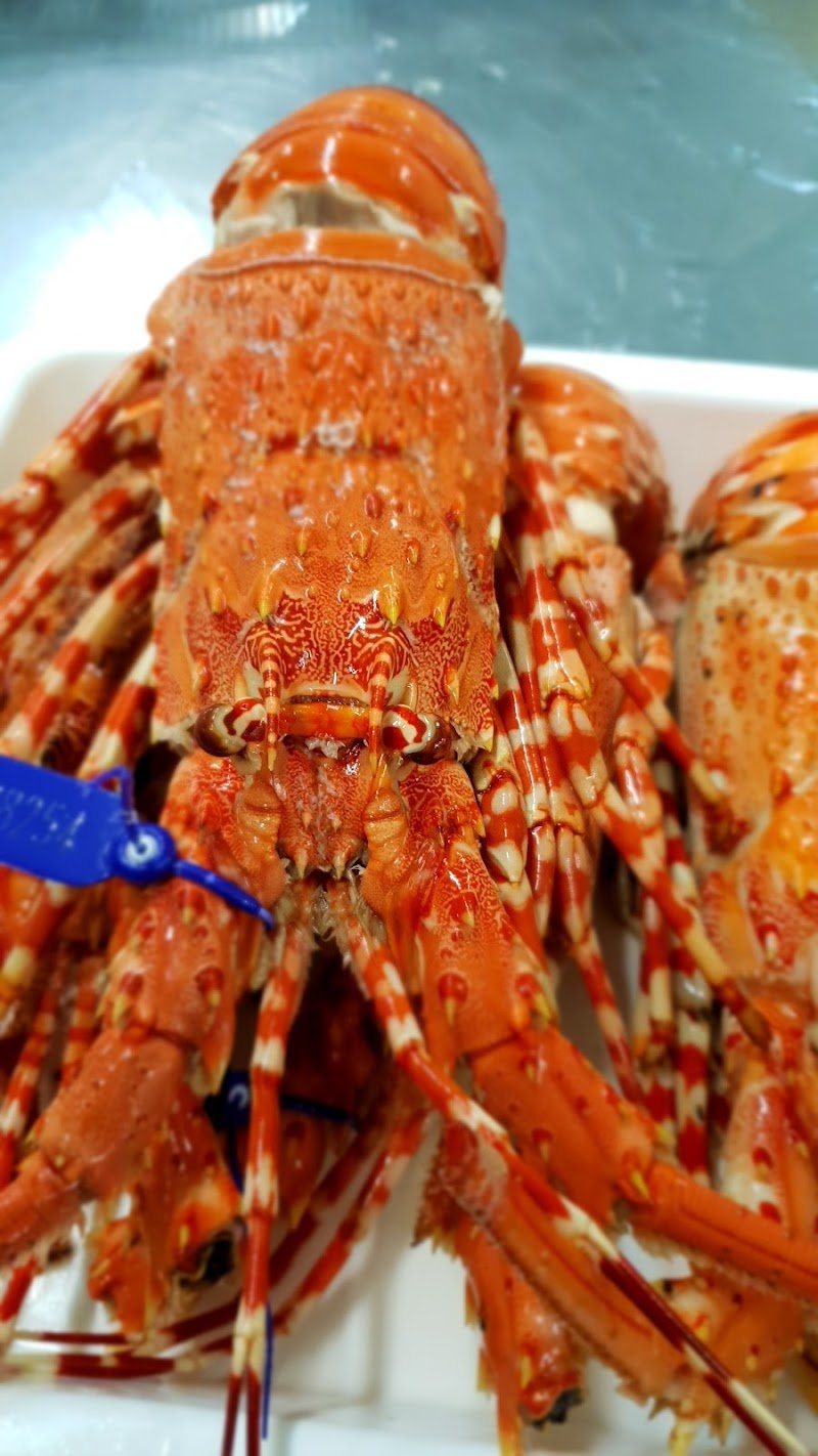 Cairns Little Seafood Market photo 3