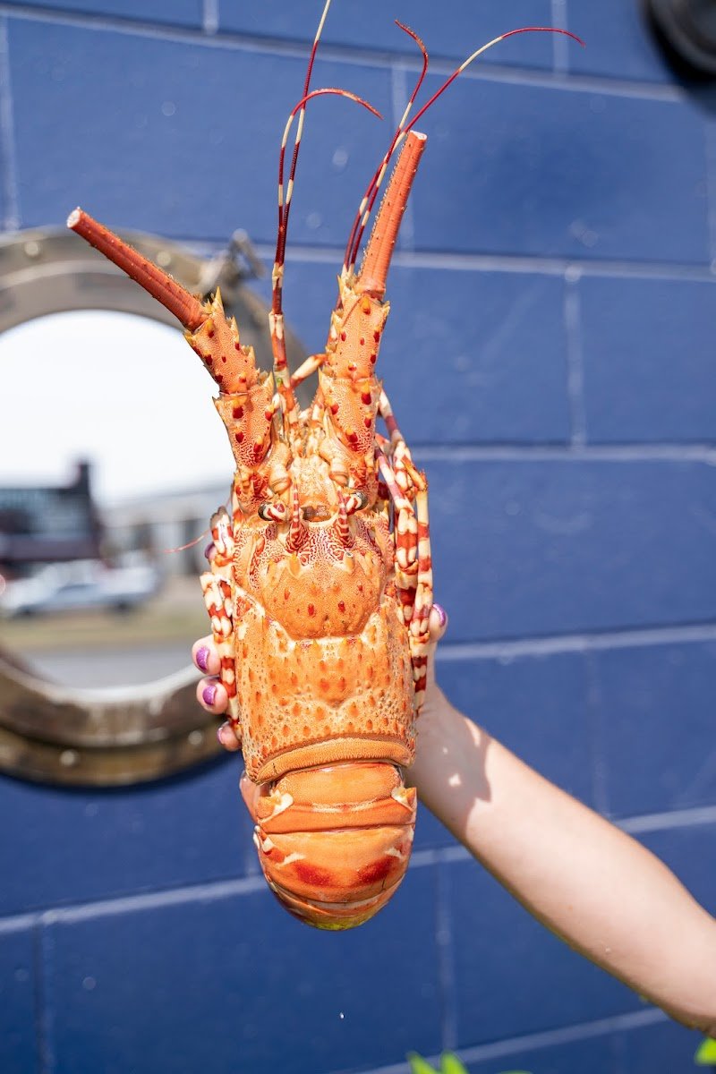 Cairns Little Seafood Market photo 6