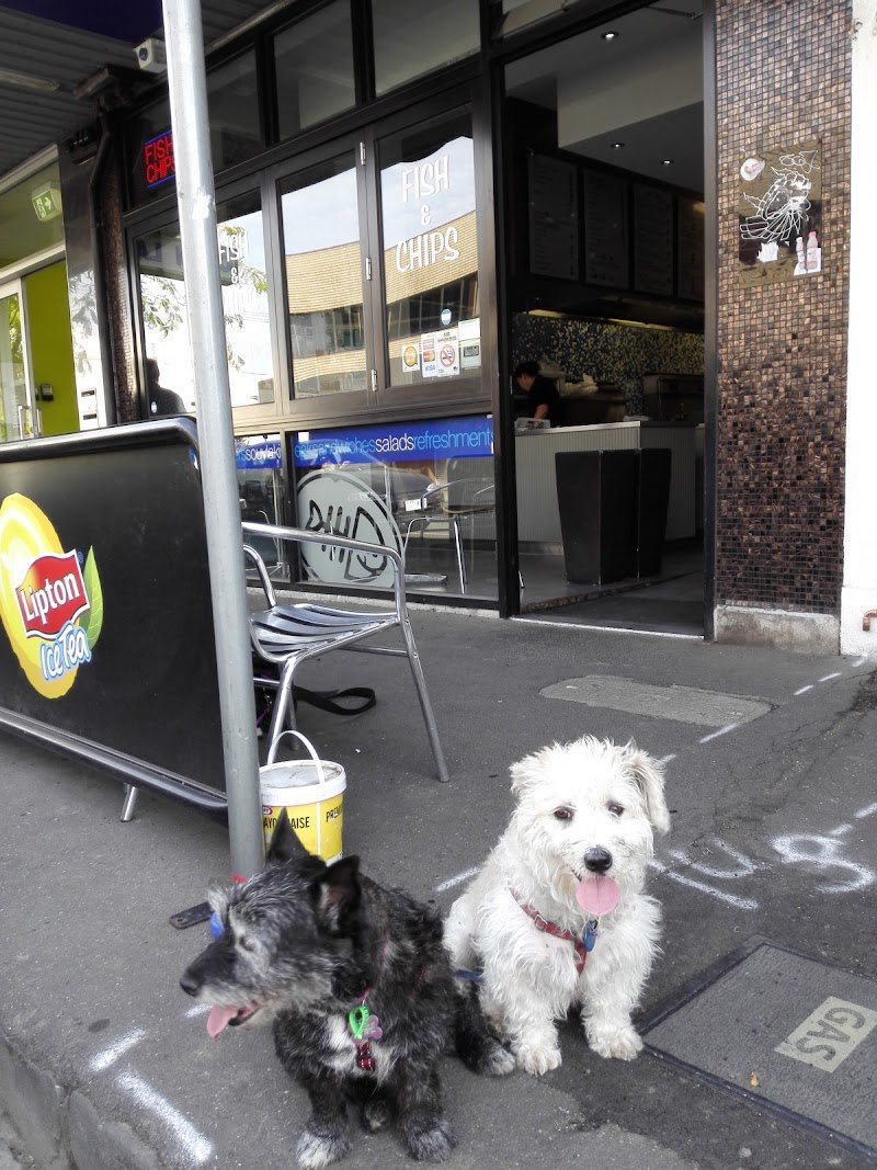 The Seafood Shak photo 9