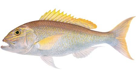 Burswood Seafood photo 4