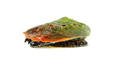 Burswood Seafood photo 10