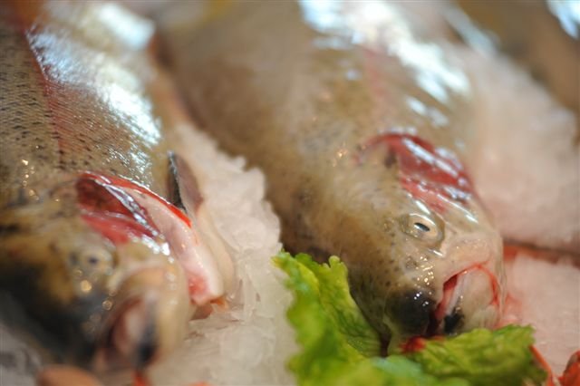 Fresh Seafood Co. photo 8