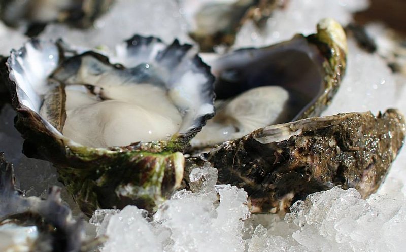 Fresh Seafood Co. photo 9