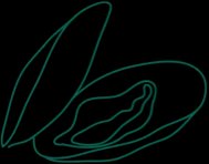 New Farm Seafood photo 7