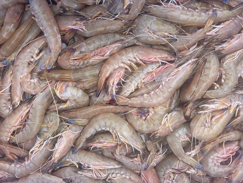 Tasman Star Seafood Market photo 3