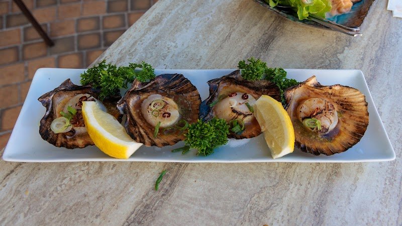 Tamagawa Japanese Restaurant photo 3